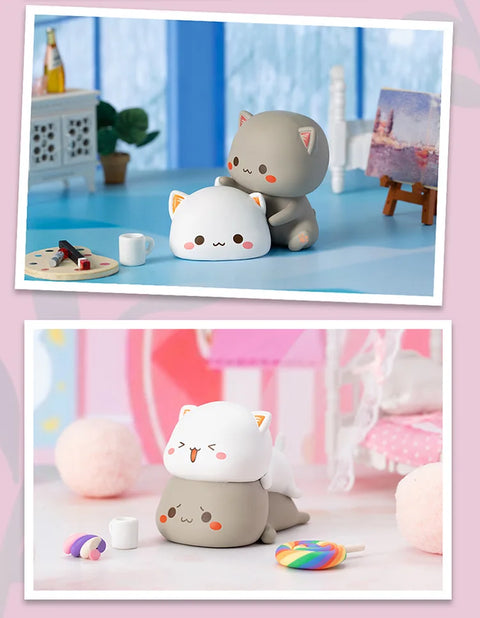 Close-up shots of cats interacting, including one white cat sitting on top of a gray cat.